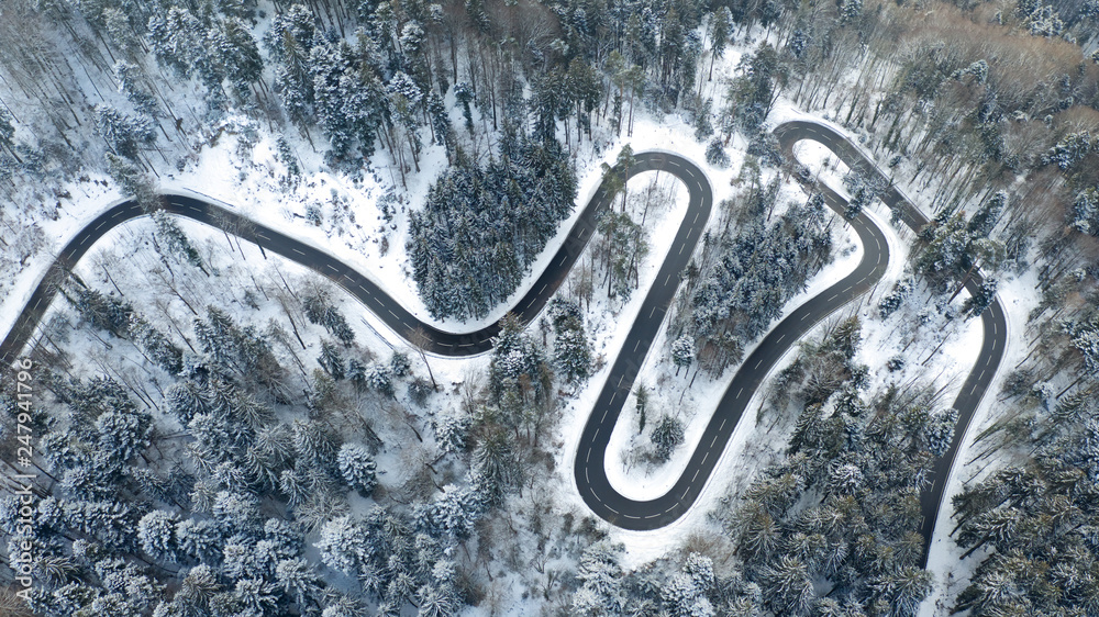 windy road aerial with snow covered trees
