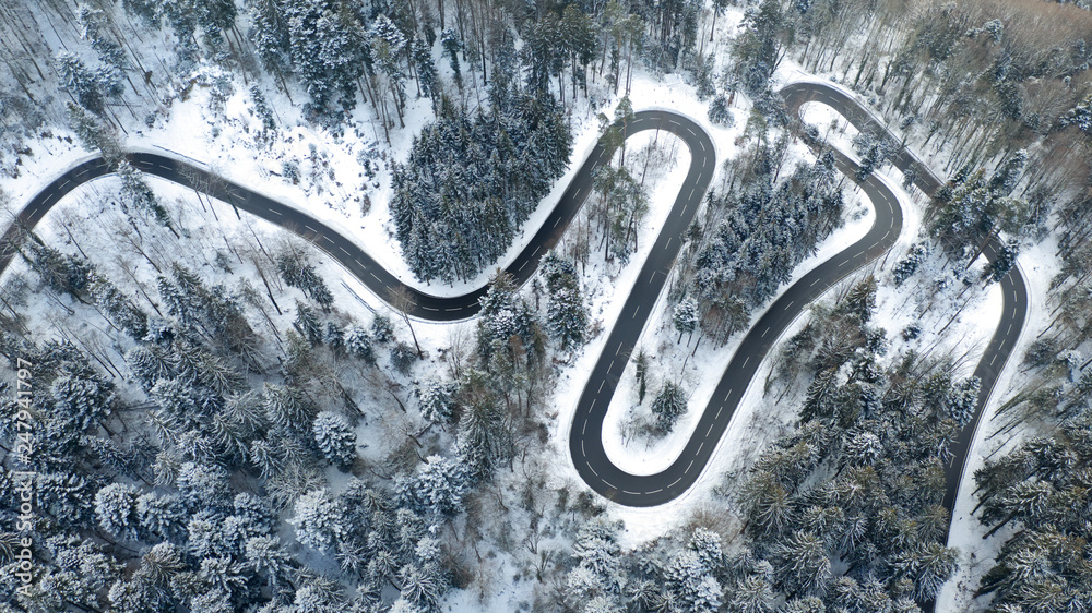 windy road aerial with snow covered trees