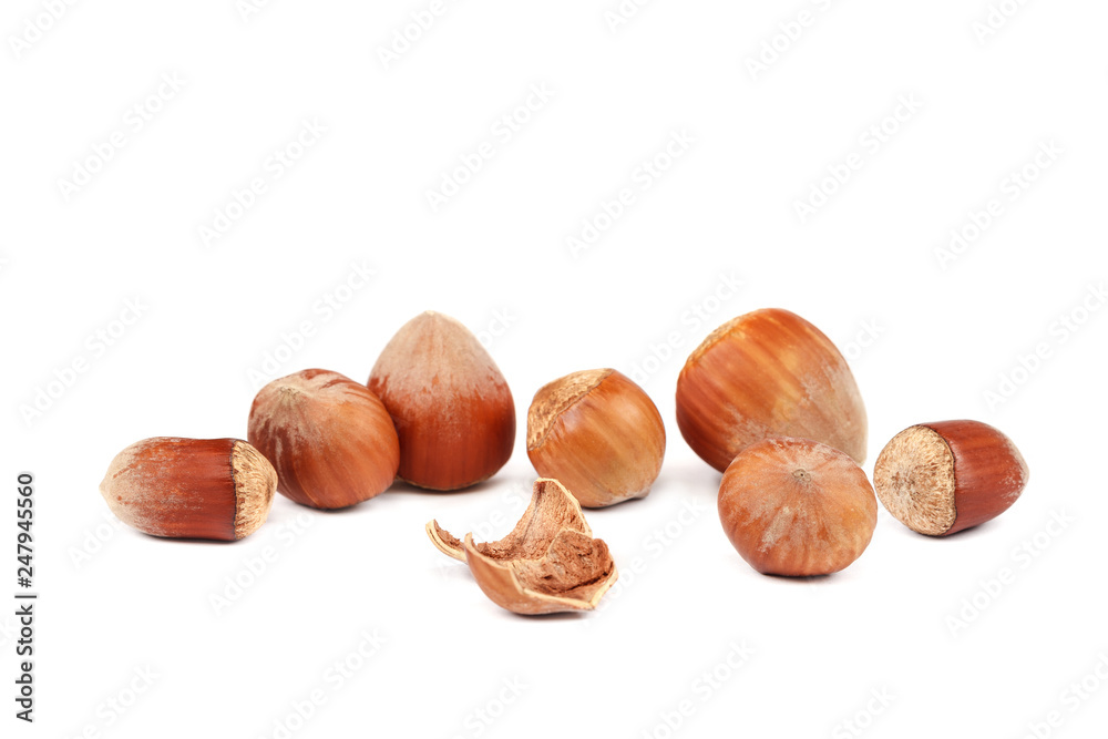 Coconut and hazelnut isolated on white background Coconut and hazelnut isolated on white background