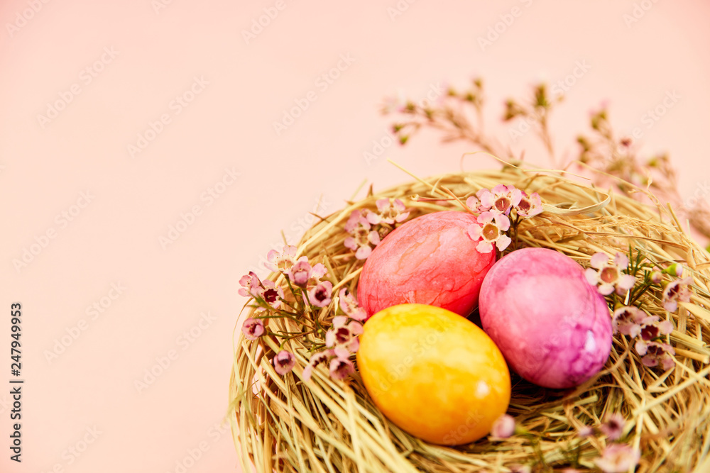 Bunte Ostereier im Nest als Ostern Header Bunte Ostereier im Nest als Ostern Header