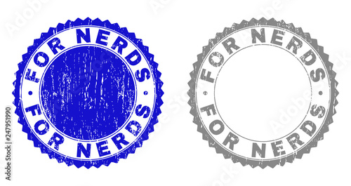 Grunge FOR NERDS stamp seals isolated on a white background. Rosette seals with grunge texture in blue and gray colors. Vector rubber stamp imprint of FOR NERDS tag inside round rosette.