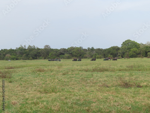 Wild Safari National park in Sri Lanka