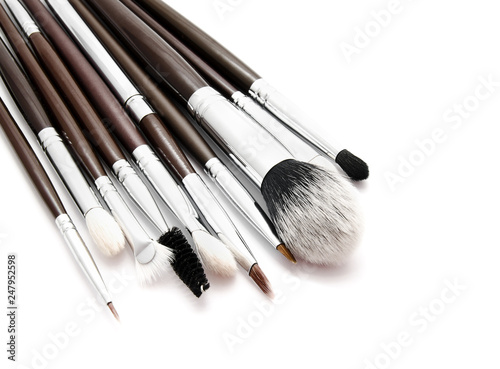 Various set of professional makeup brushes isolated