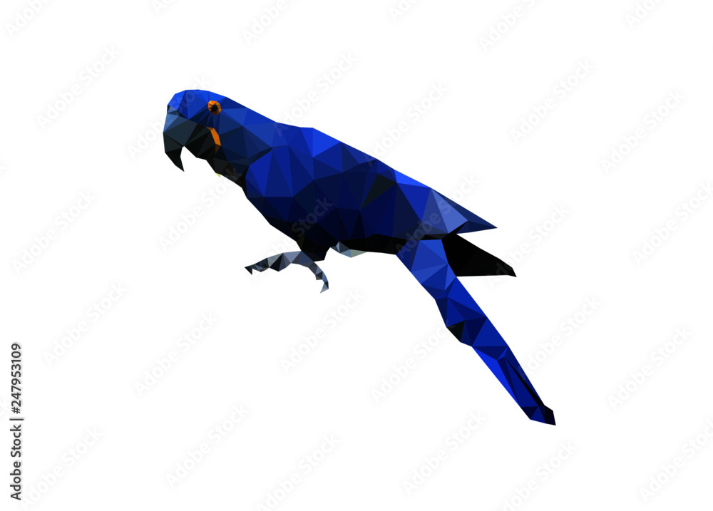 Arara Blue Low Poly Isolated