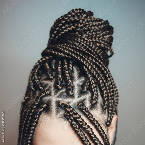 close-up hairstyle pigtails are collected in the tail at the nape, partings are visible