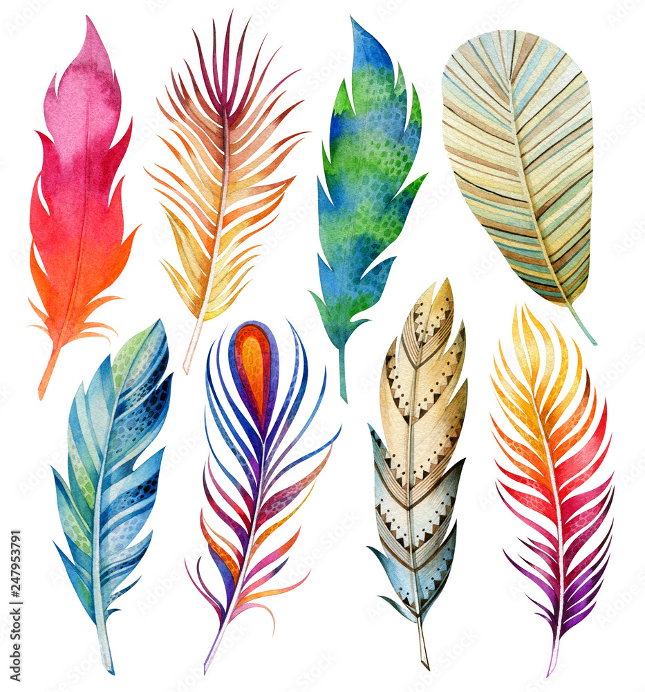 Set of bird feathers. Ease. Watercolor drawing. Natural elements.  Tropical.Isolated objects on a white background. Stock Illustration
