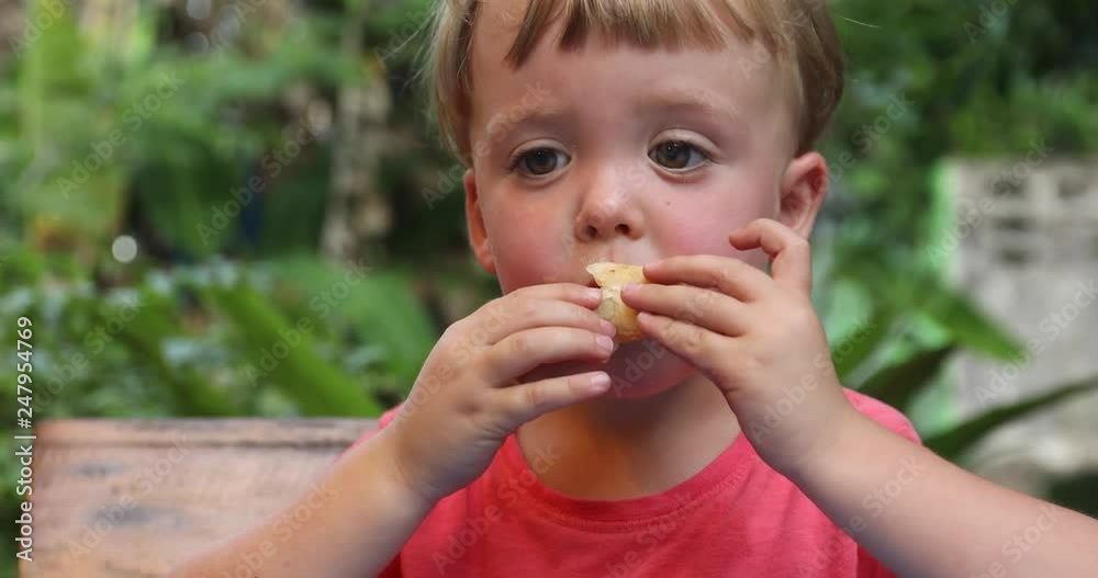 Little boy eating fried chicken garden on background Little boy eating fried chicken garden on background