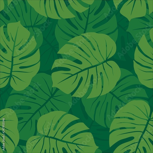 green monochrome monstera leaves graphic exotic seamless pattern on dark background