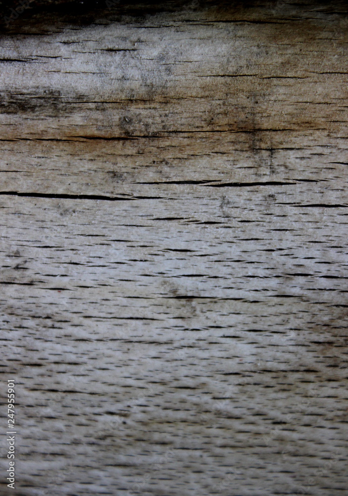 Naklejka premium Holzhintergrund