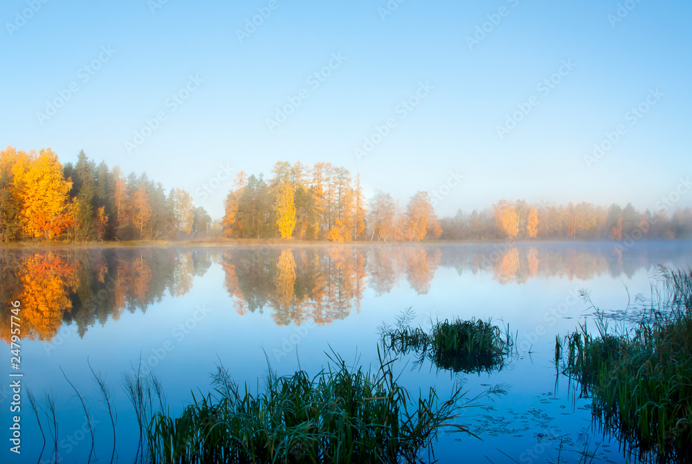 Obraz premium Beautiful autumn morning landscape of Kymijoki river waters in fog. Finland, Kymenlaakso, Kouvola.