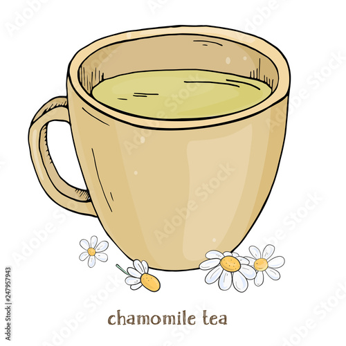 Cup of chamomile tea. A Cup of chamomile flowers. Vector illustration in sketch style.