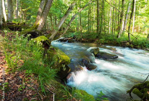 forest river among the rocks. beautiful summer scenery with refreshing rapid flow. wonderful nature background. clean environment concept. long exposure