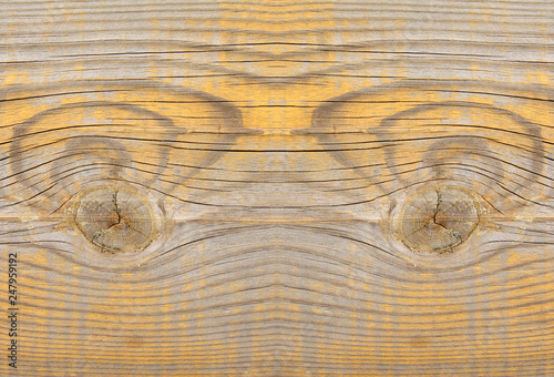 Wood texture photo