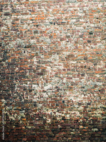 Texture of an old  brick. vintage