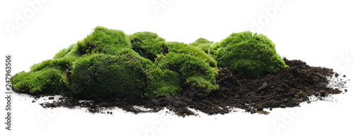 Green moss with dirt, soil isolated on white background