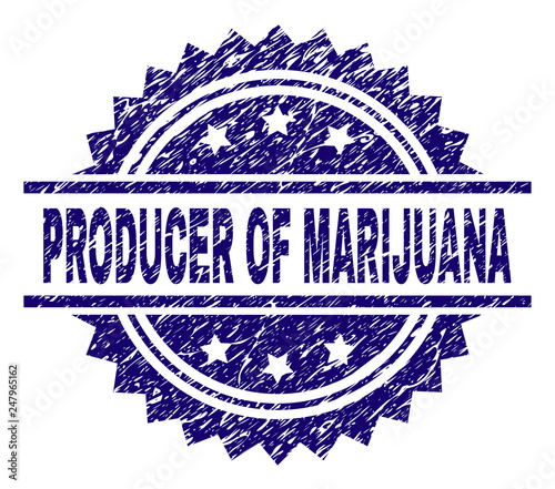 PRODUCER OF MARIJUANA stamp seal watermark with distress style. Blue vector rubber print of PRODUCER OF MARIJUANA caption with retro texture.