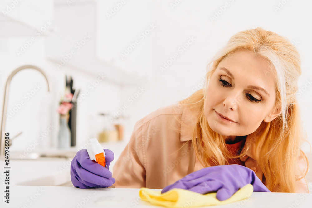 Senior woman in purple gloves cleaning kitchen stove Senior woman in purple gloves cleaning kitchen stove