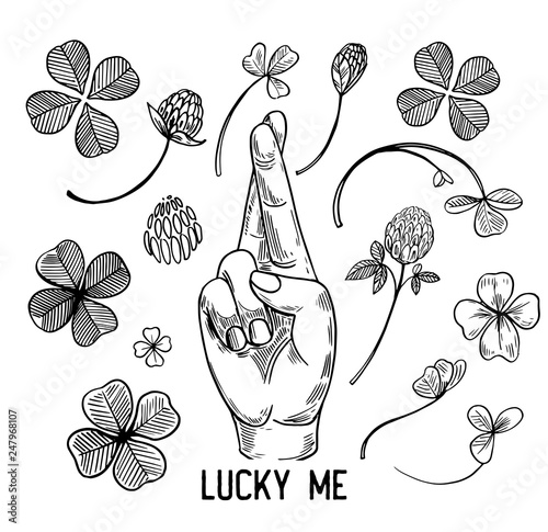 Crossed fingers and a four-leaf clover set. Symbols of good luck. Engraving style. Vector outline isolated on white background