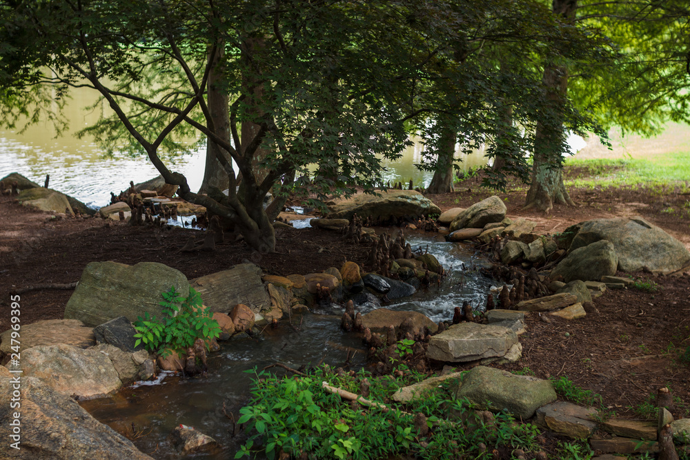 Beautiful park with a small river with stones. A stream with stones on the shore is rapidly running in the forest. Landscaping. Park Milliken Arboretum, Spartanburg, South Carolina, USA Beautiful park with a small river with stones. A stream with stones on the shore is rapidly running in the forest. Landscaping. Park Milliken Arboretum, Spartanburg, South Carolina, USA