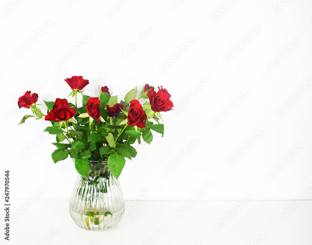 Red roses on white background copy space