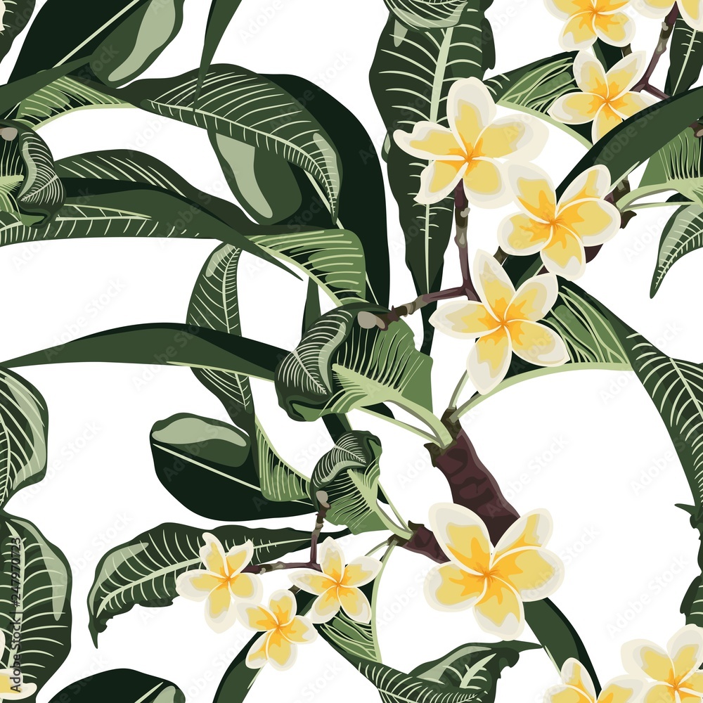 Obraz premium Tropical seamless pattern with white plumeria flowers branch and leaves. Background with Hawaiian flowers and plants on white backdrop. 