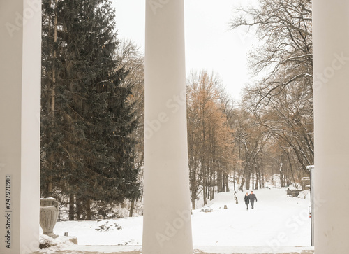 winter in park
