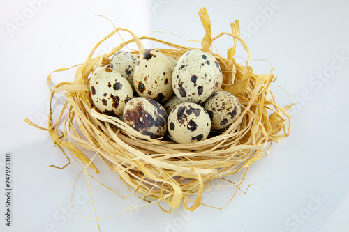 quail eggs in a nest isolated white background
