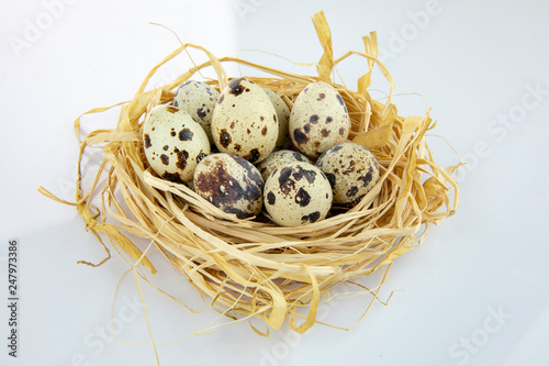 quail eggs in a nest isolated white background