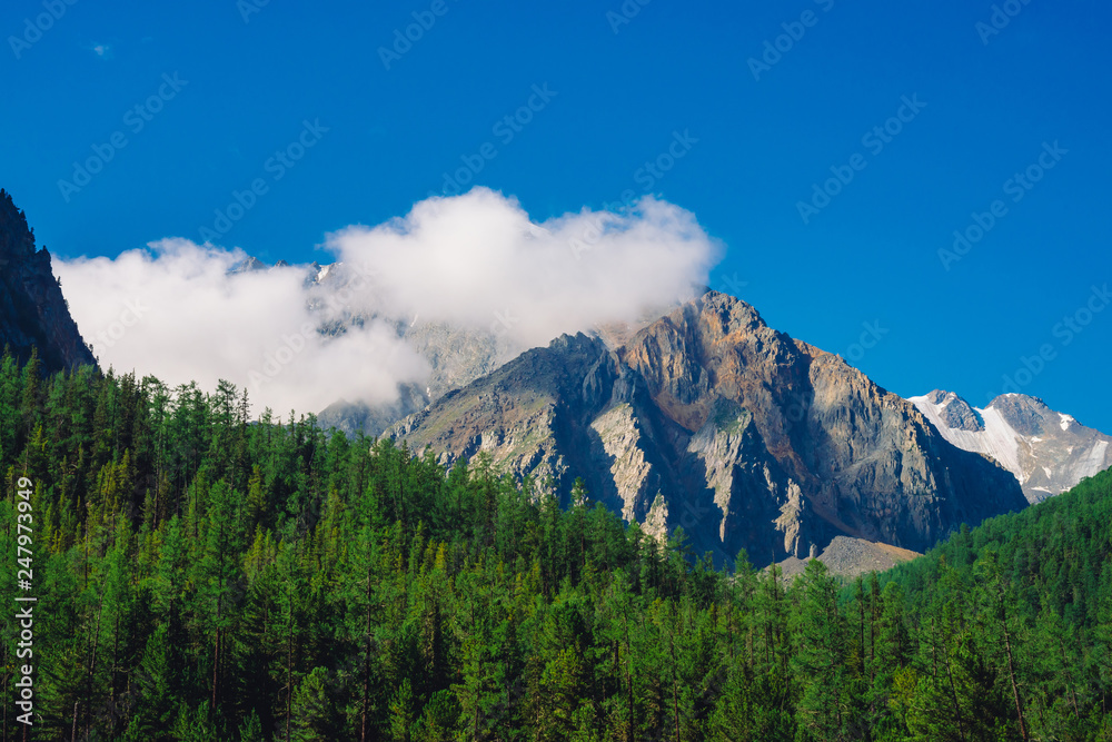 Giant rock in sunny day. Rocky ridge with snow behind hills with conifer forest cover. Clouds on top of huge snowy mountain range under blue sky. Atmospheric highland landscape of majestic nature.