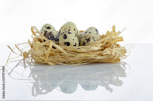 quail eggs in a nest isolated white background
