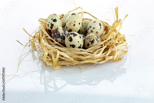quail eggs in a nest isolated white background