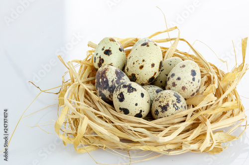 quail eggs in a nest isolated white background