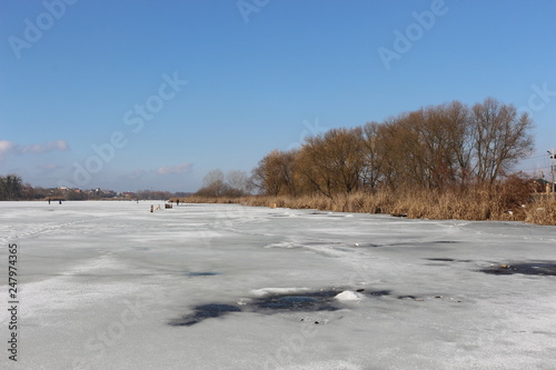 Dry reeds and trees are on the shore of a lake covered with ice