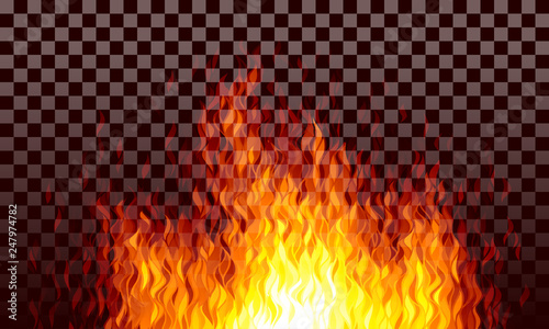 Realistic transparent vector fire flames on black background