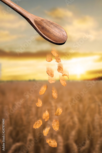 dropping wooden spoon Cornflakes, with a wheat field in the background © RHJ