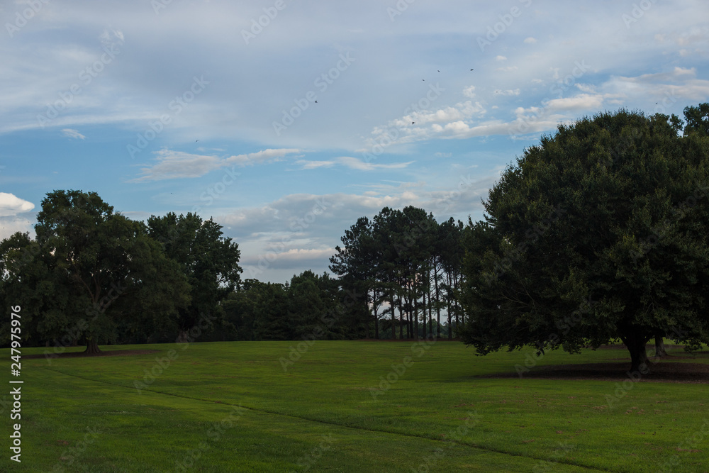 Park with a smooth green lawn, beautiful trees and picturesque clouds. Beautiful clouds in the sky over the summer forest. Landscaping. Park Milliken Arboretum, Spartanburg, South Carolina, USA Park with a smooth green lawn, beautiful trees and picturesque clouds. Beautiful clouds in the sky over the summer forest. Landscaping. Park Milliken Arboretum, Spartanburg, South Carolina, USA