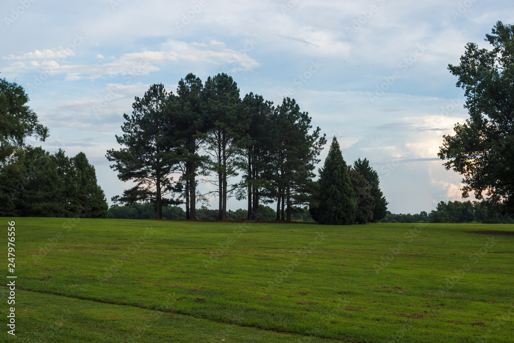 Park with a smooth green lawn, beautiful trees and picturesque clouds. Beautiful clouds in the sky over the summer forest. Landscaping. Park Milliken Arboretum, Spartanburg, South Carolina, USA Park with a smooth green lawn, beautiful trees and picturesque clouds. Beautiful clouds in the sky over the summer forest. Landscaping. Park Milliken Arboretum, Spartanburg, South Carolina, USA