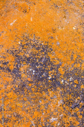 Stone background orange texture, abstract formation of mineral rock in marine environment © stanciuc