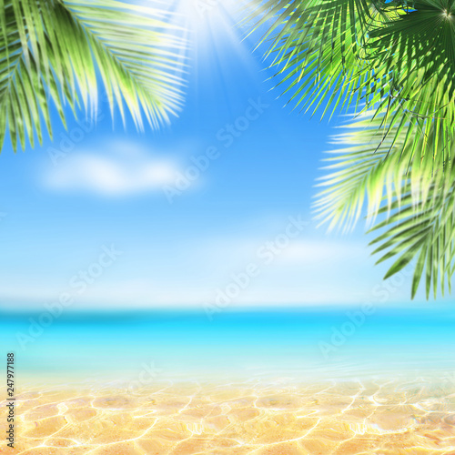 Fototapeta Naklejka Na Ścianę i Meble -  Summer landscape, nature of tropical golden beach and leaf palm, soft focus. Golden sand beach with glare in water, turquoise sea water,  blue sky, white clouds. Copy space, summer vacation concept.