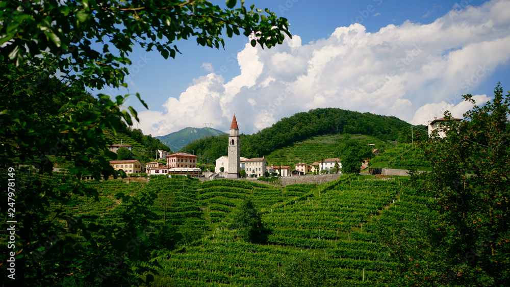 View of the green Prosecco wine hill and blue sky in background - Rolle - Cison di Valmarino - Strada del Prosecco - Chiesa dei Santi Giacomo e Filippo - Borgo tutelato dal FAI