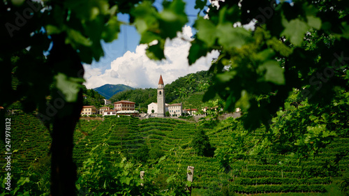 View of the green Prosecco wine hill and blue sky in background - Rolle - Cison di Valmarino - Strada del Prosecco - Chiesa dei Santi Giacomo e Filippo - Borgo tutelato dal FAI