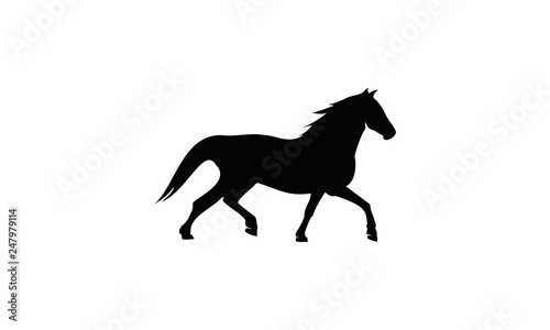 silhouette vector horse