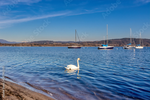 The swan on the lake among the fishermen's boats