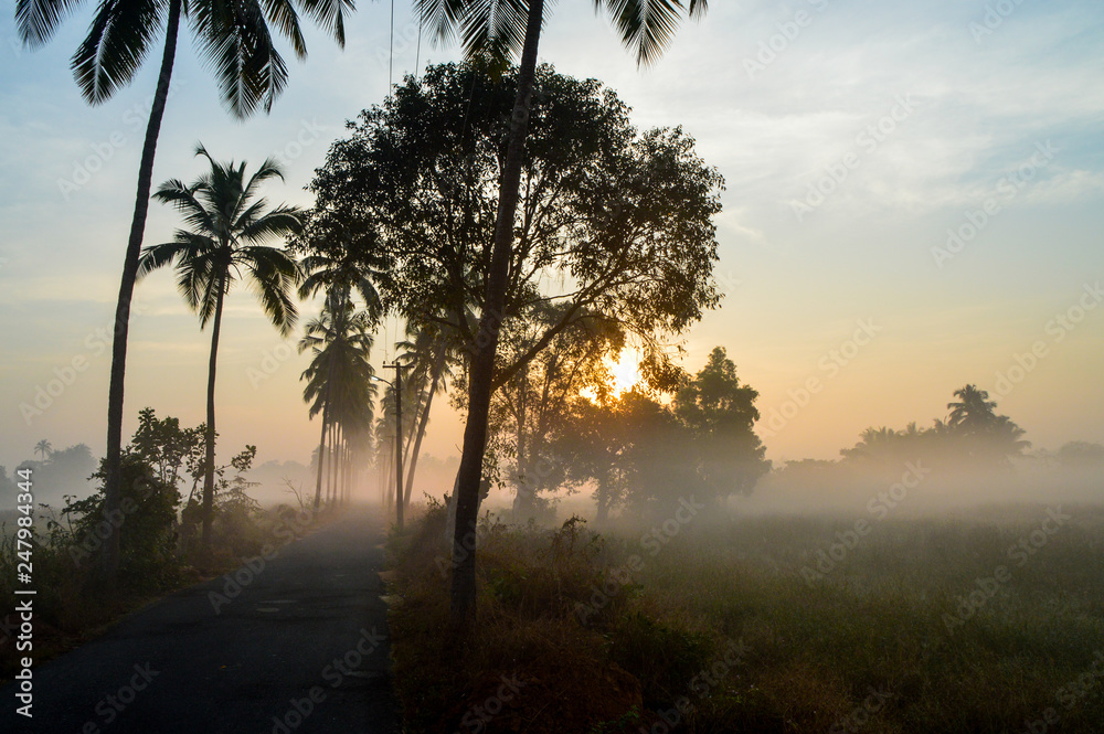 Sunrise in Gokarna, India - obrazy, fototapety, plakaty 