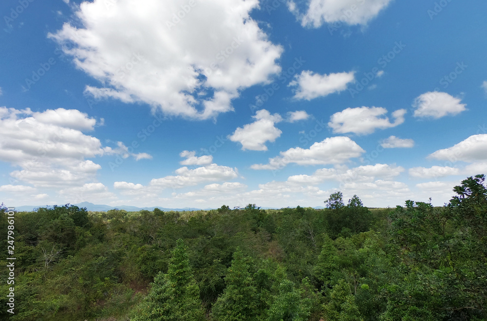 White clouds in the sky on the tropical forest