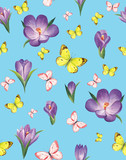  Spring pattern of crocuses and bright butterflies on a blue background. Watercolor illustration.