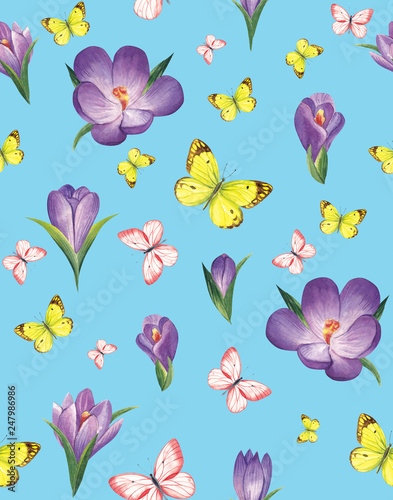 Fototapeta Naklejka Na Ścianę i Meble -   Spring pattern of crocuses and bright butterflies on a blue background. Watercolor illustration.