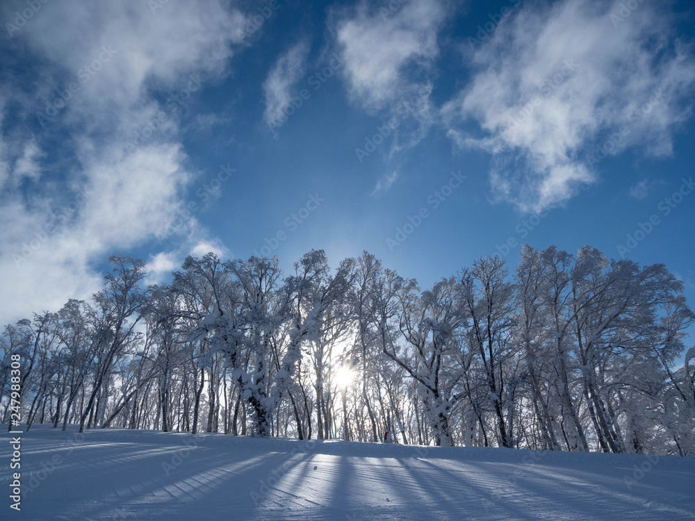 青空と樹氷と雪原