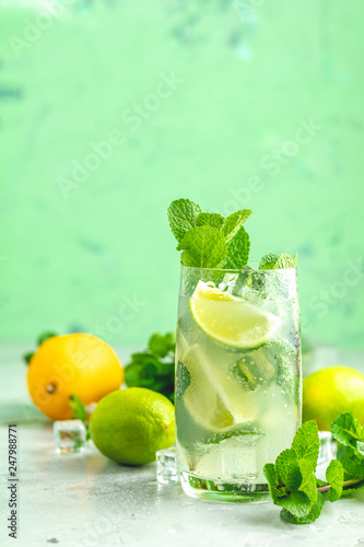 Mojito cocktail with lime and mint in highball glass