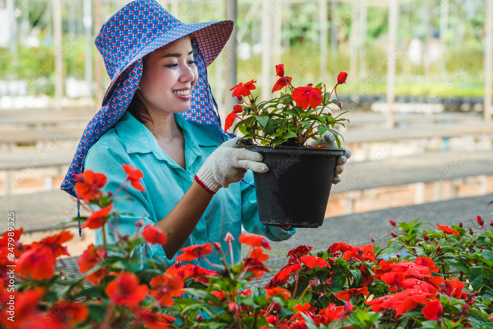 Greenhouse flower seedlings. The young woman's hand holding a flower tree plant in a pot on hand, agriculture gardening background. Greenhouse flower seedlings. The young woman's hand holding a flower tree plant in a pot on hand, agriculture gardening background.